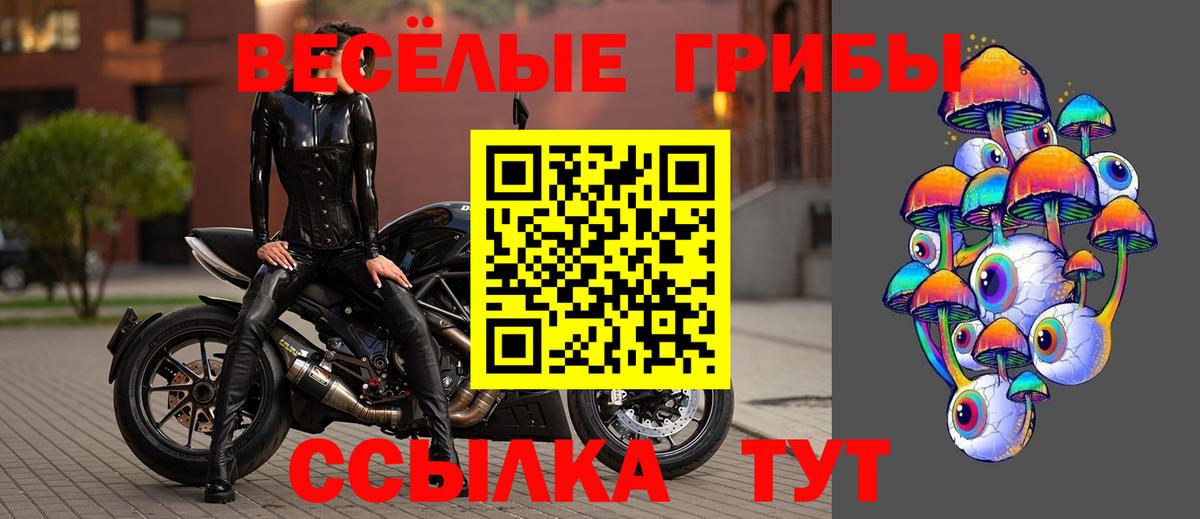 Галлюциногенные грибы ЛСД Биробиджан